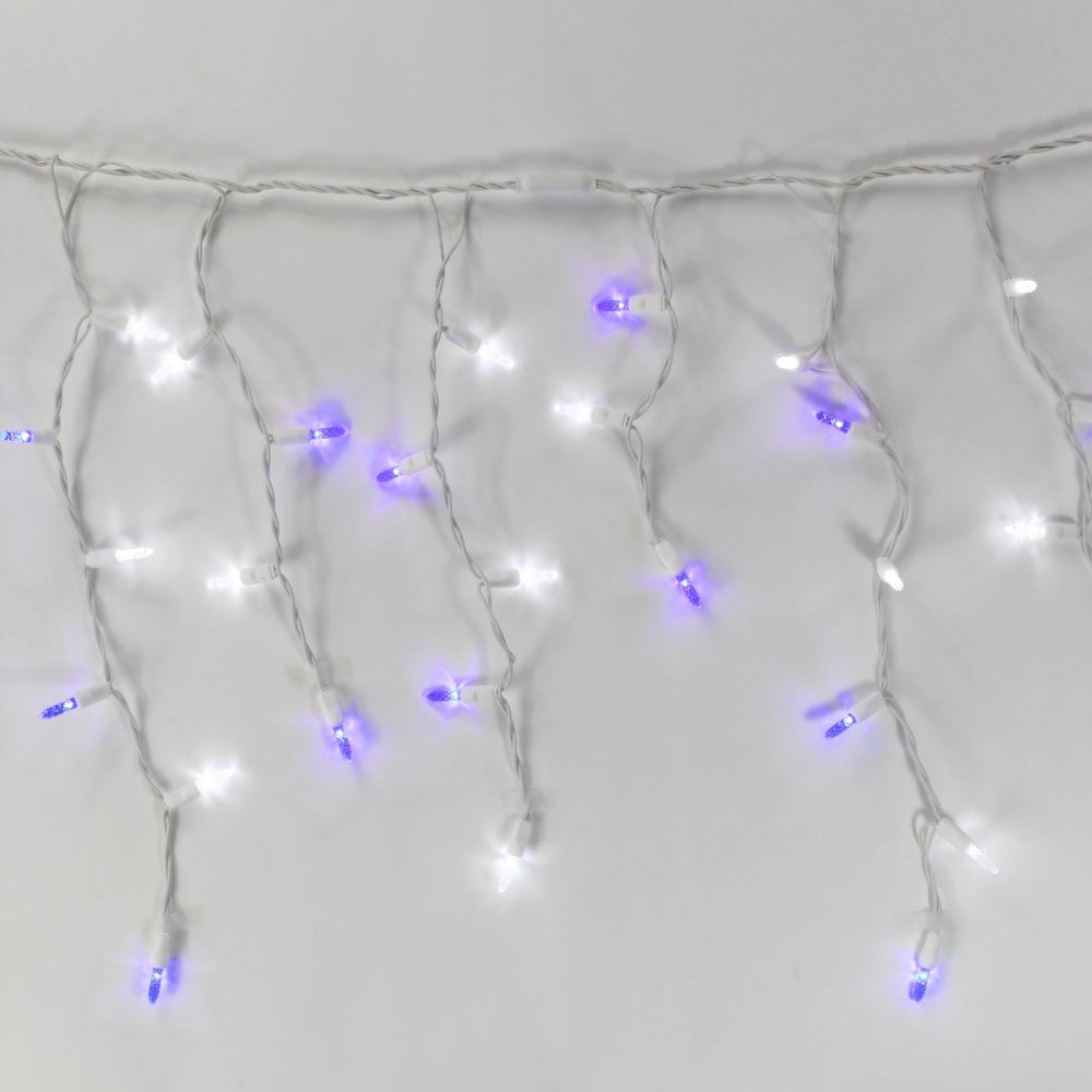 100-light M5 Pure White and Blue LED Icicle Lights, White Wire