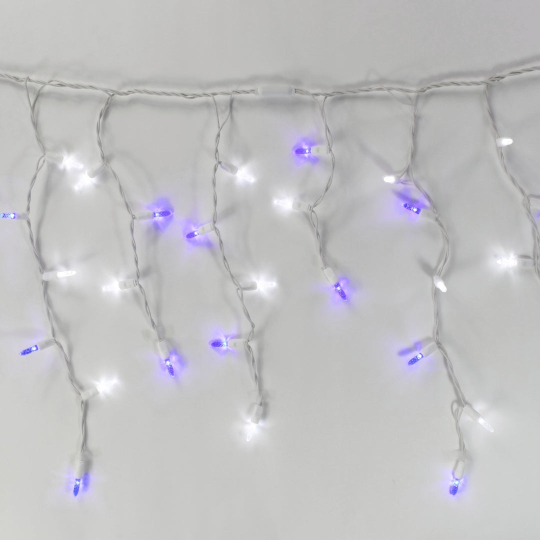 100-light M5 Pure White and Blue LED Icicle Lights, White Wire