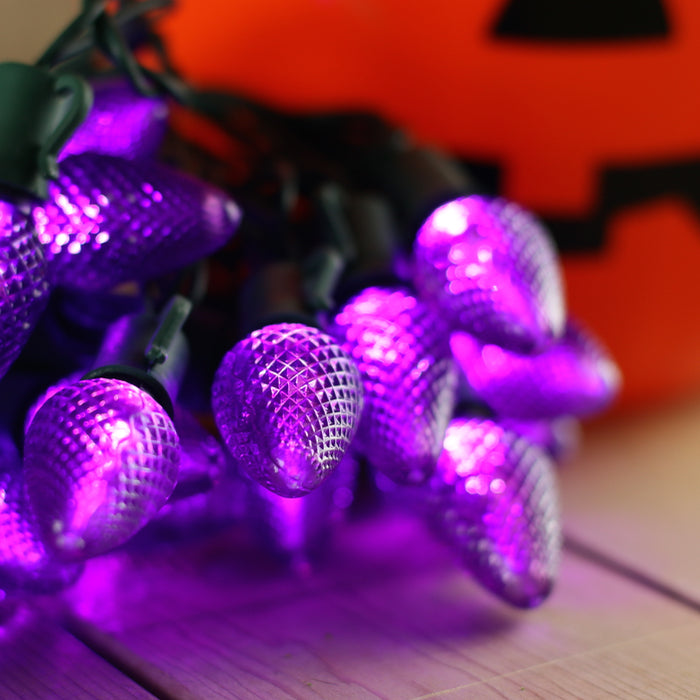 25-light C7 Purple LED Christmas Lights (Non-removable bulbs), 8" Spacing Green Wire
