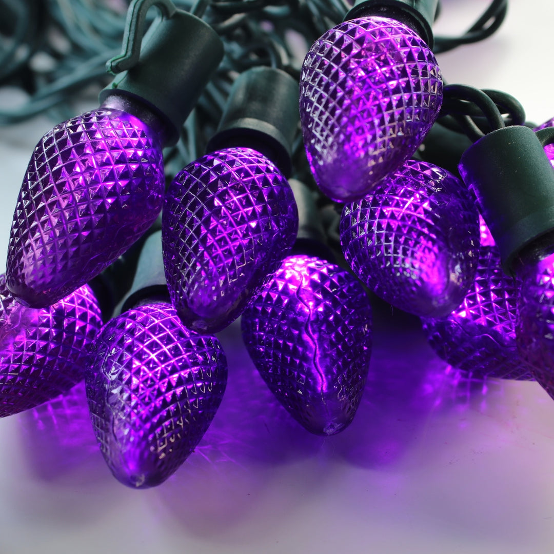 25-light C9 Purple LED Christmas Lights (Non-removable bulbs), 8" Spacing Green Wire