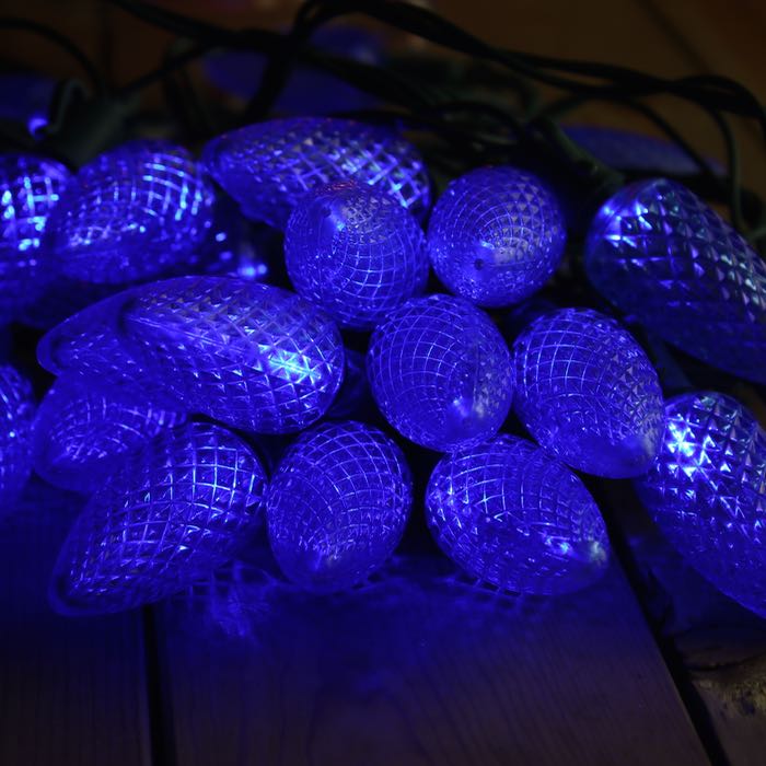 25-light C9 Blue LED Christmas Lights (Non-removable bulbs), 8" Spacing Green Wire