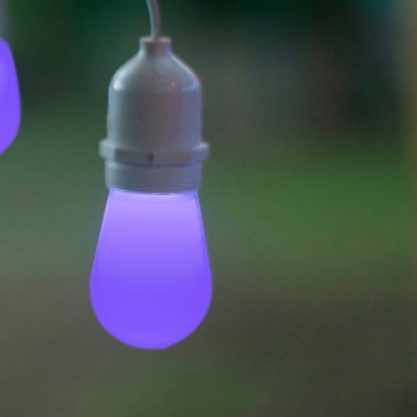 T50 Purple Opaque LED Bulbs E26 Bases