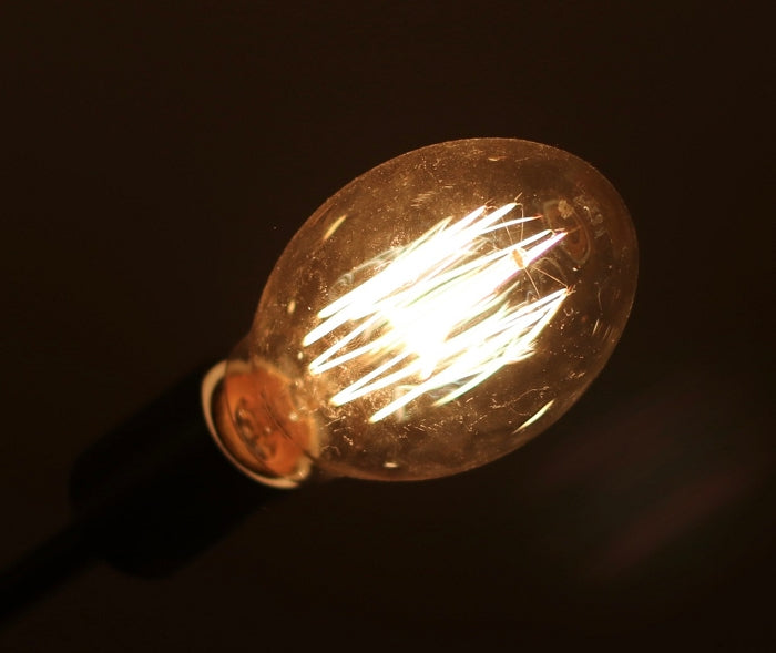 Egg Shaped E75 Edison Bulb - amber with Medium (E26) Base