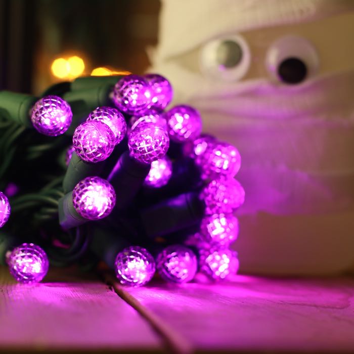 50-light G12 Purple LED Christmas Lights, 4" Spacing Green Wire