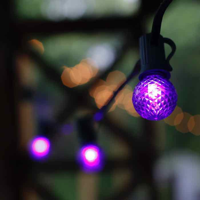 G30 Purple LED Bulbs E12 Bases