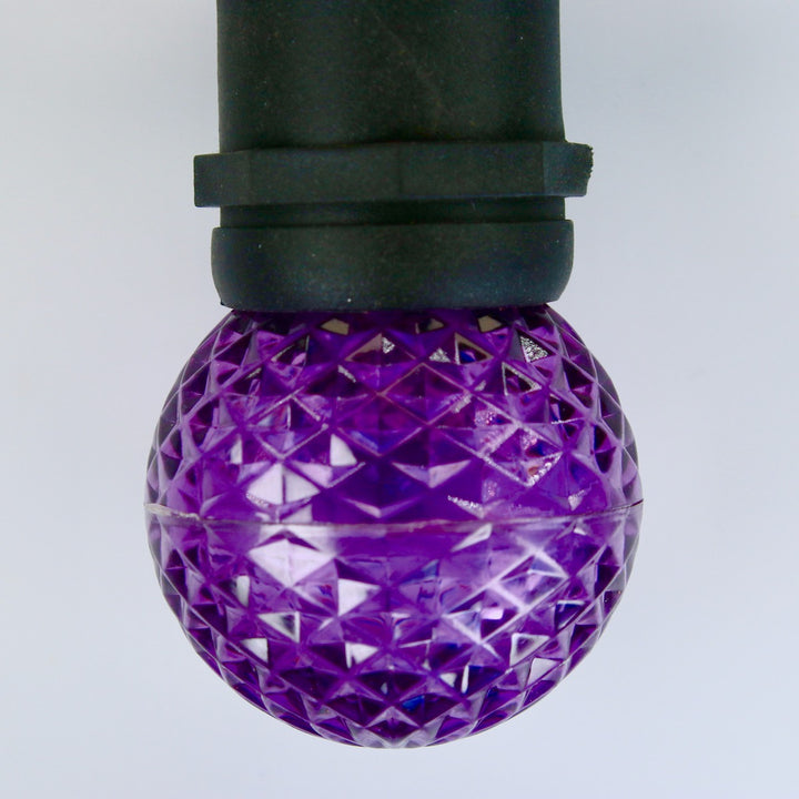 G50 Purple LED Bulbs E26 Bases