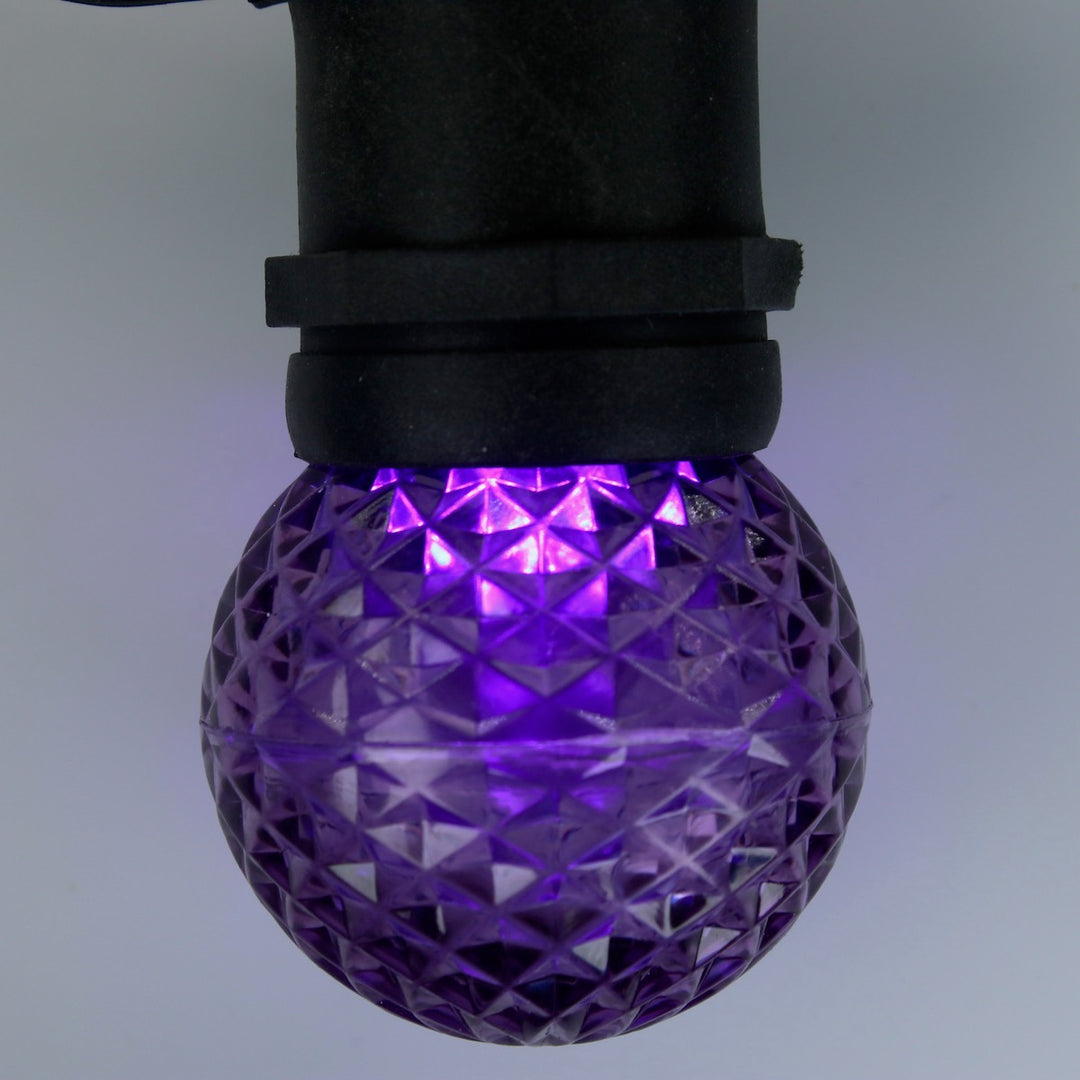 G50 Purple LED Bulbs E26 Bases