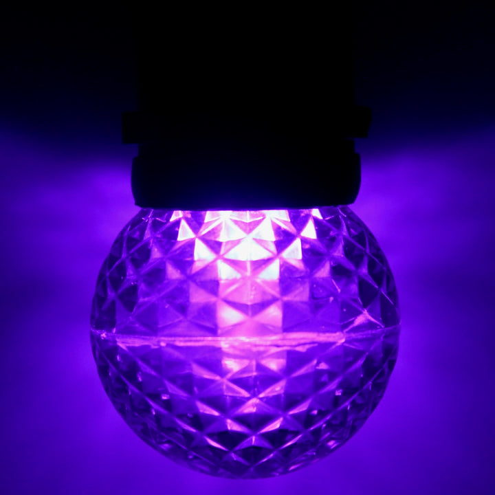 G50 Purple LED Bulbs E26 Bases
