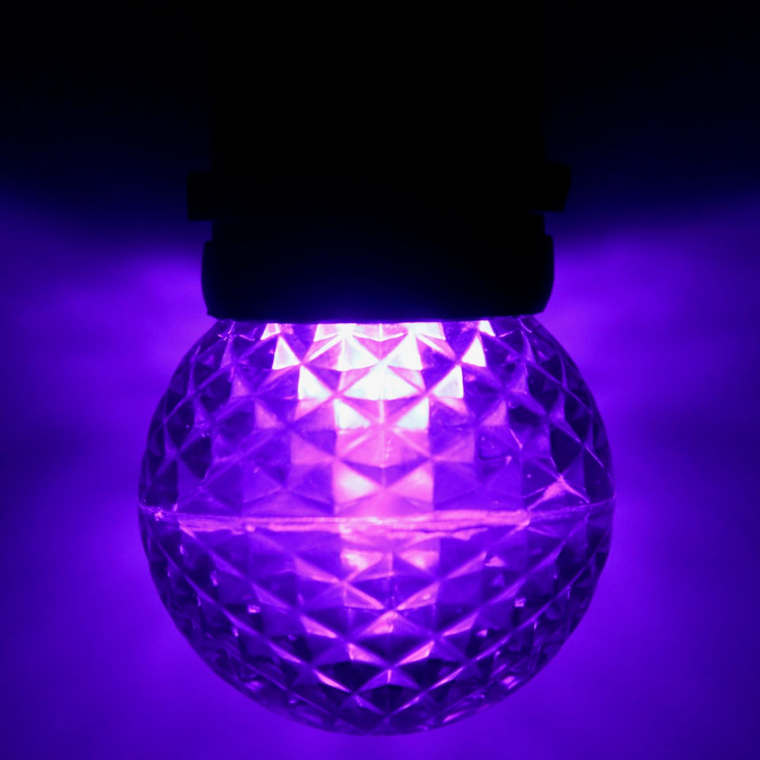 G50 Purple LED Bulbs E26 Bases