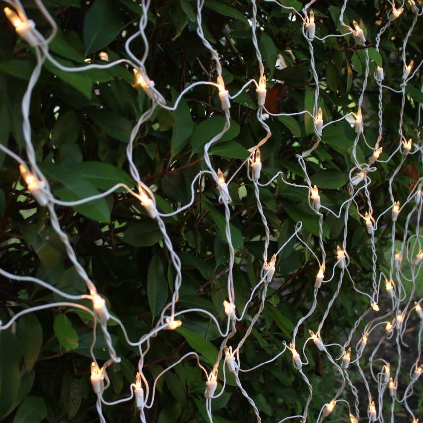 150 bulb Clear White Net Lights White Wire