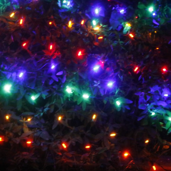 Multicolor LED Net Lights