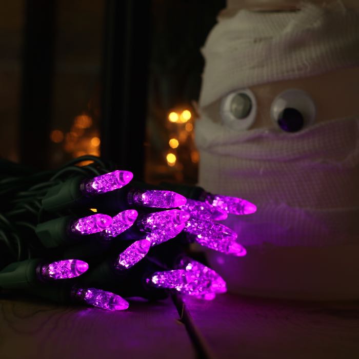 50-light M5 Purple LED Christmas Lights, 4" Spacing Green Wire