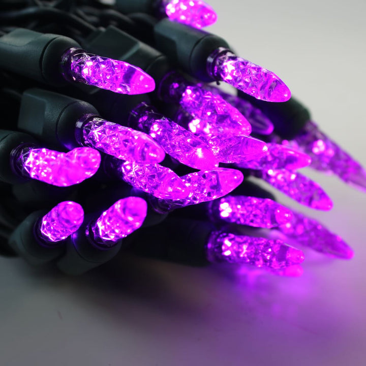 50-light M5 Purple LED Christmas Lights, 4" Spacing Green Wire