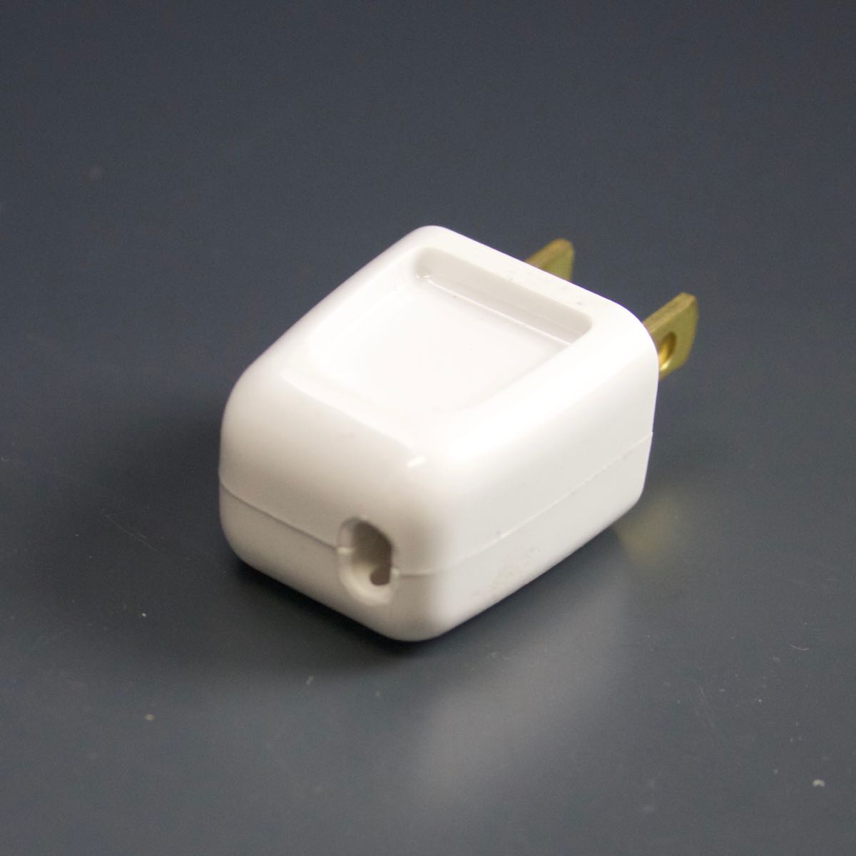 Amplifier Quick Plug 10-Amp Male Plug Quick Connect Plug White – Christmas Light Source