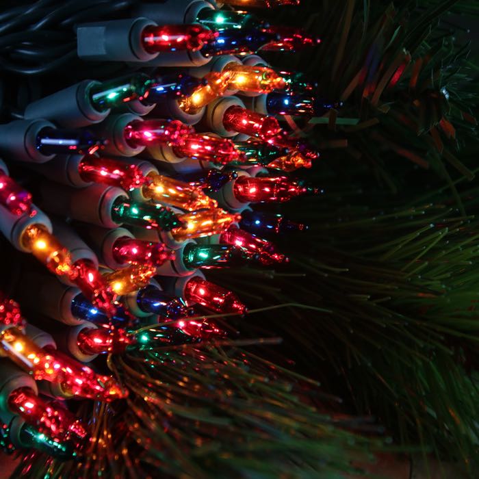 50 bulb Multicolor Mini Lights 2.5 Spacing Green Wire