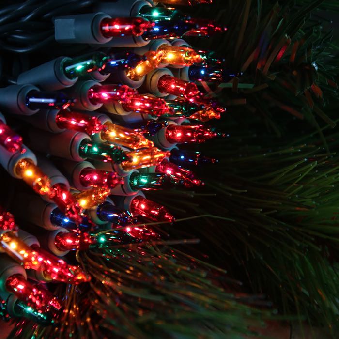 50-bulb Multicolor Mini Lights, 2.5" Spacing, Green Wire
