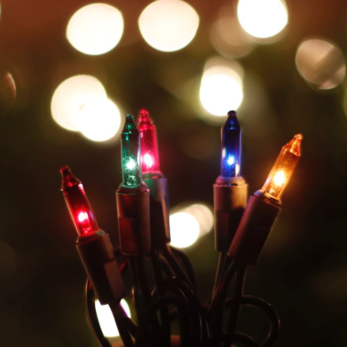 50-bulb Multicolor Mini Lights, 4" Spacing, Black Wire