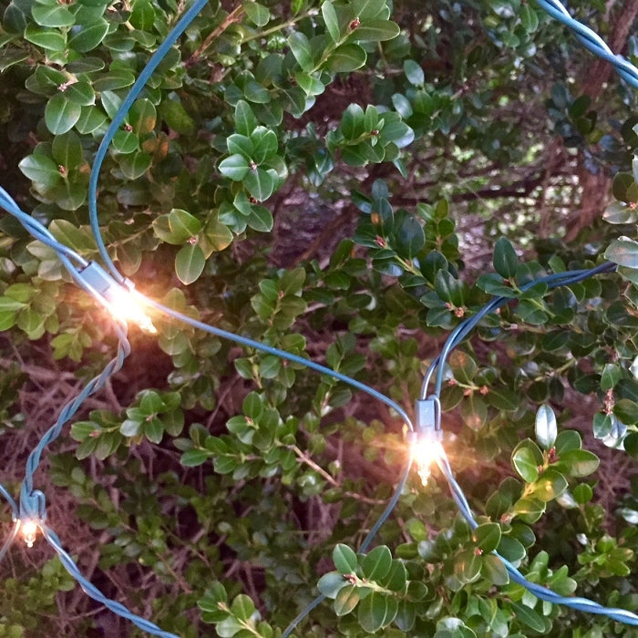 150-bulb Clear Net Lights, Green Wire