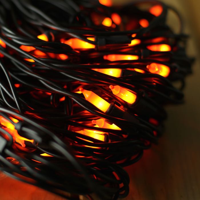 150-bulb Opaque Orange Net Lights, Black Wire