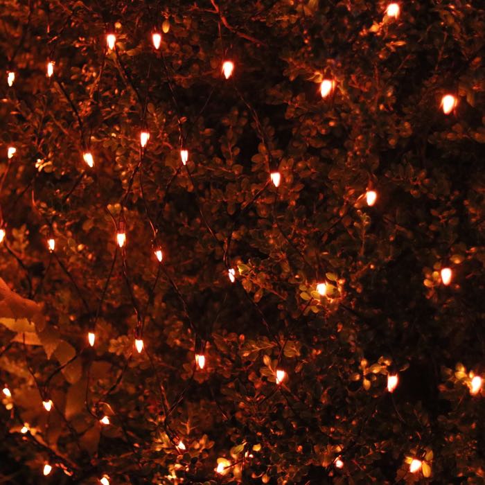 150-bulb Opaque Orange Net Lights, Black Wire