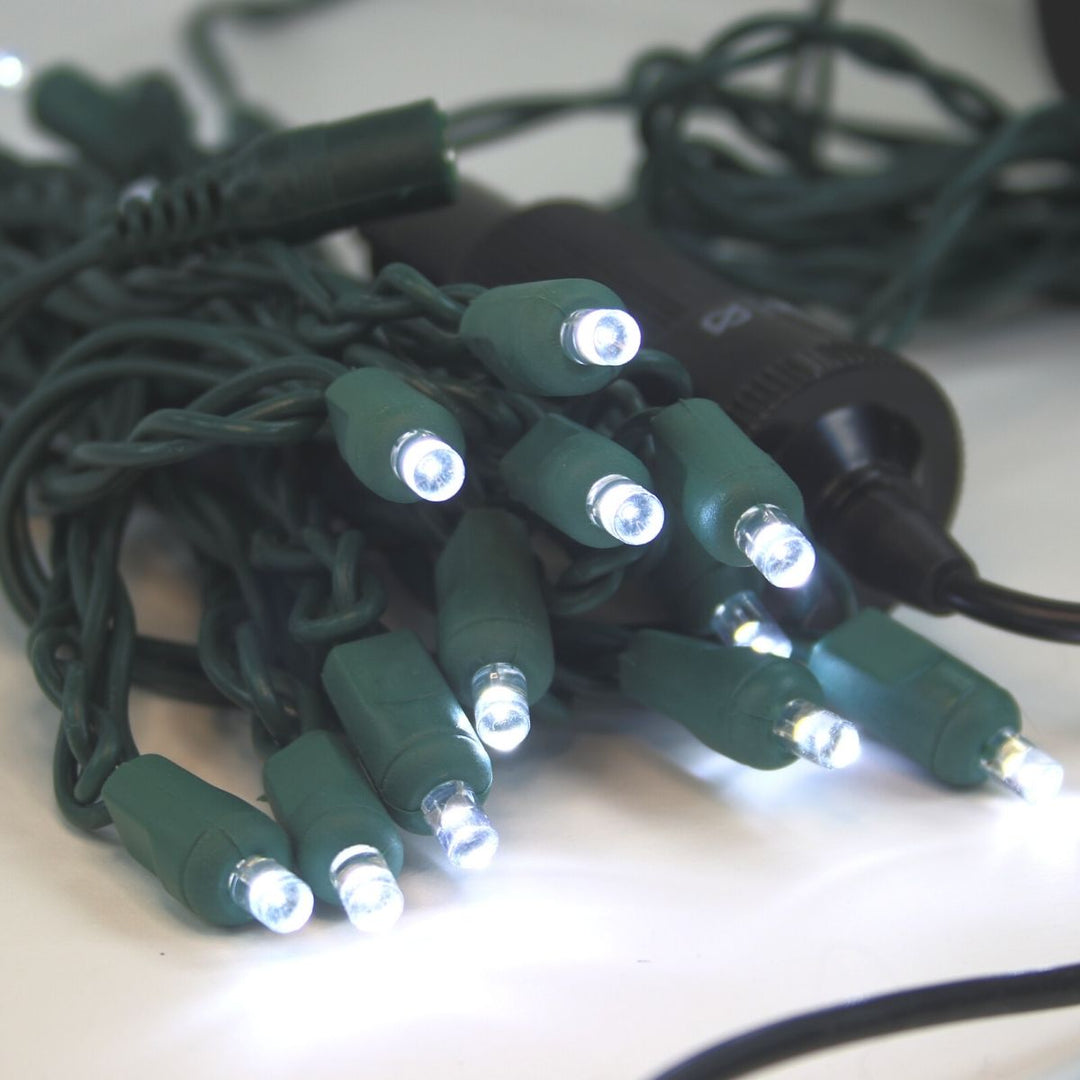 12 Volt LED Light Set Pure White Green Wire