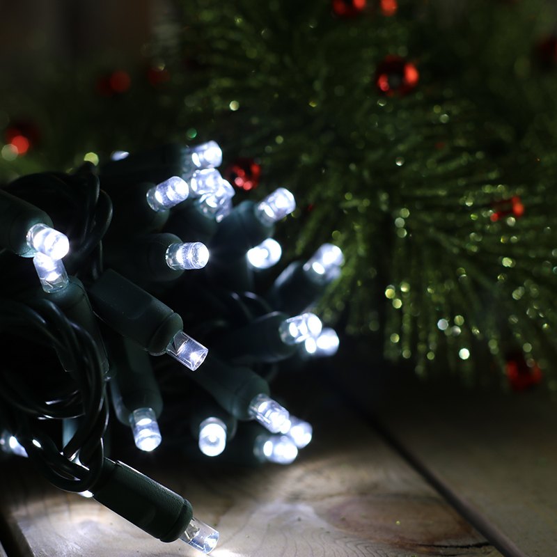 Rådne Folkeskole Maryanne Jones 50-light 5mm Pure White LED Christmas Lights, 4" Spacing Green Wire – Christmas  Light Source