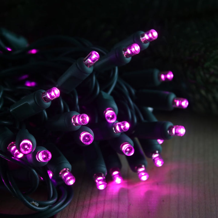 50-light 5mm Purple LED Christmas Lights, 4" Spacing Green Wire