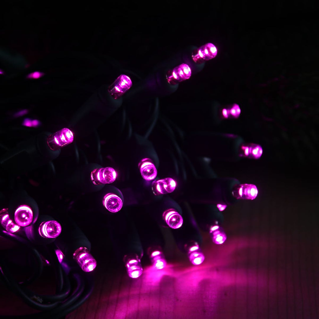 50-light 5mm Purple LED Christmas Lights, 4" Spacing Green Wire