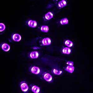 First Purple Led 20-light Purple LED Craft Lights, Green Wire – Christmas Light Source