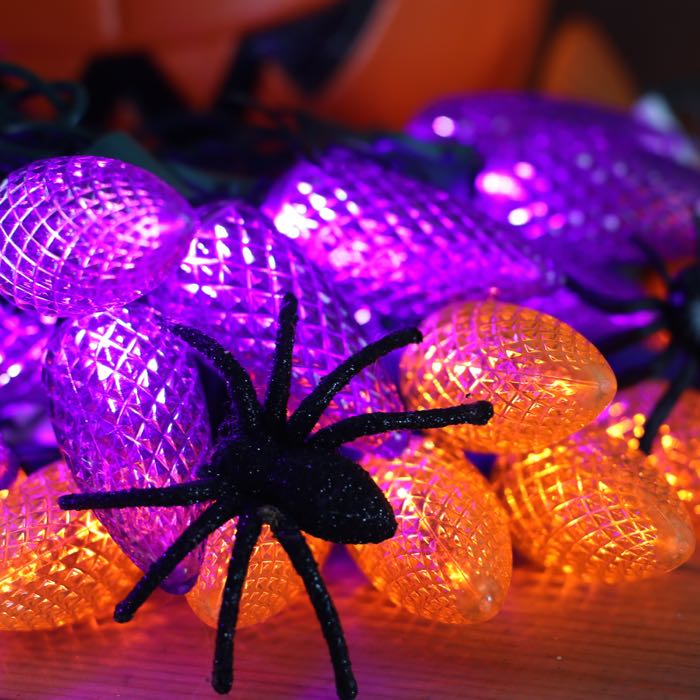 25-light C9 Purple LED Christmas Lights (Non-removable bulbs), 8" Spacing Green Wire