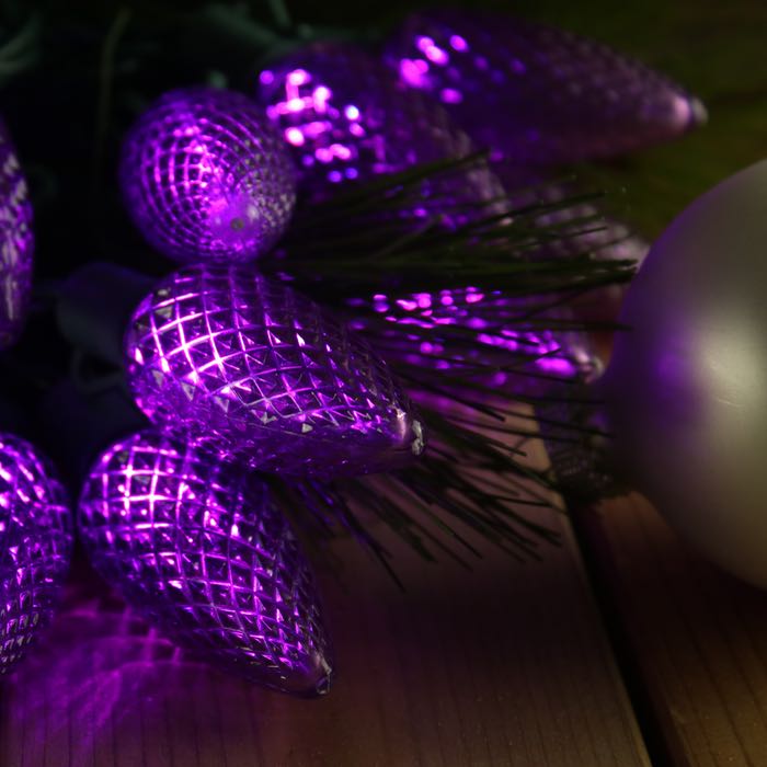 25-light C9 Purple LED Christmas Lights (Non-removable bulbs), 8" Spacing Green Wire