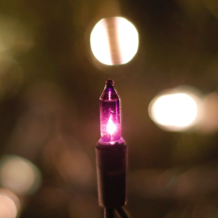 50-bulb Purple Mini Lights, 2.5" Spacing, Green Wire