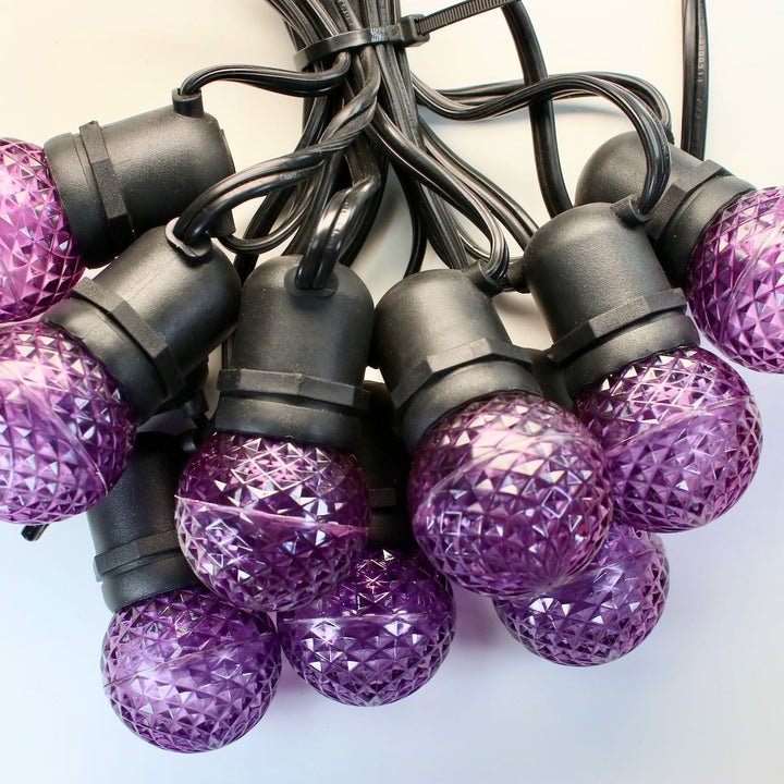 G50 Purple LED Bulbs E26 Bases