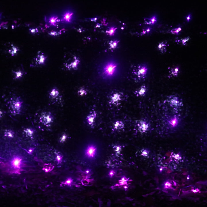 100-light Purple 5mm LED Net Lights, Green Wire