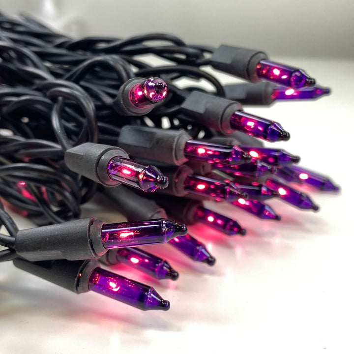 50-bulb Purple Mini Lights, 4" Spacing, Black Wire