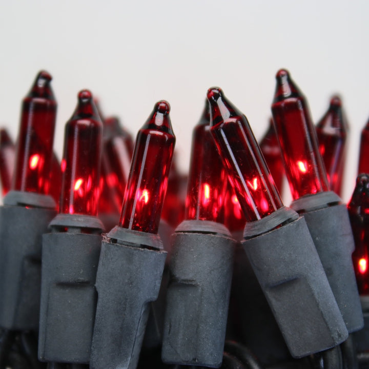 50-bulb Red Mini Lights, 4" Spacing, Black Wire