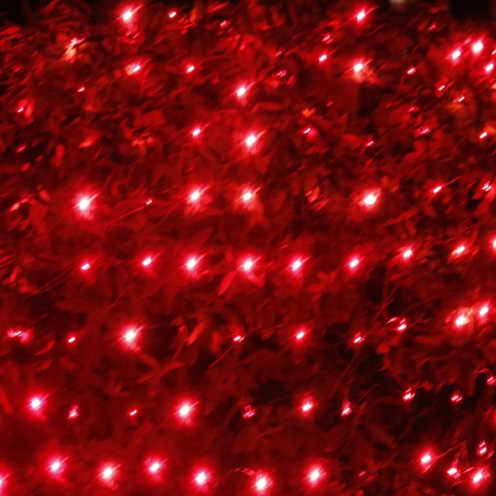 150-bulb Red Net Lights, Green Wire