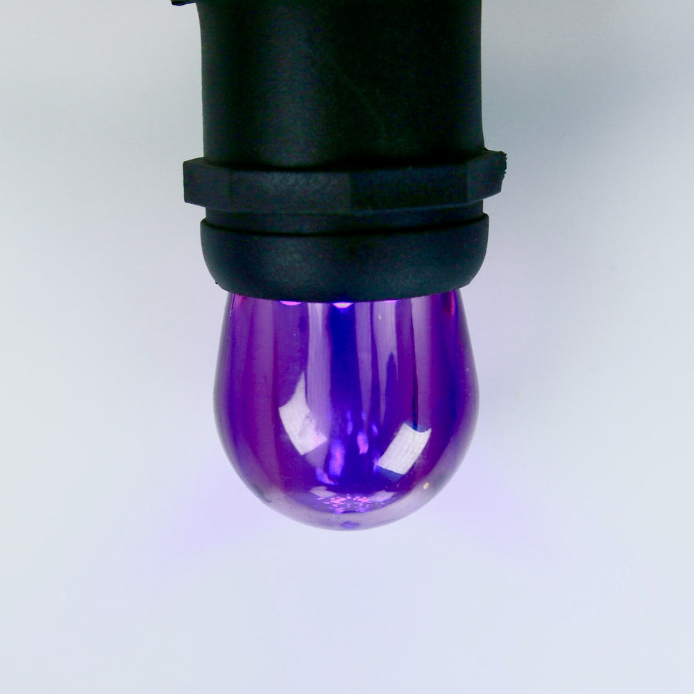 S11 Purple LED Bulbs E26 Bases