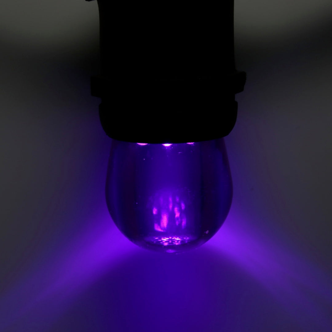 S11 Purple LED Bulbs E26 Bases