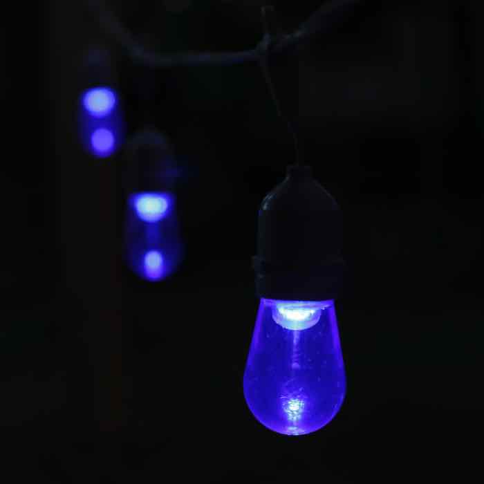 T50 Blue Smooth LED Bulbs E26 Bases