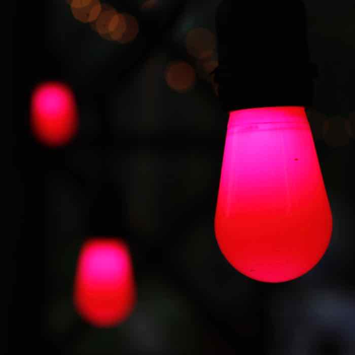 T50 Pink Opaque LED Bulbs E26 Bases