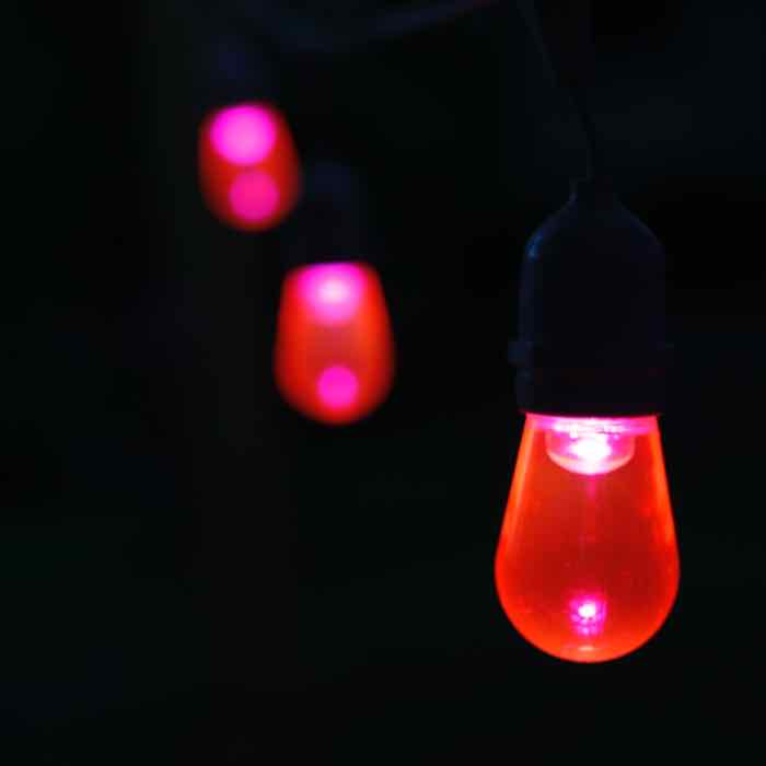 T50 Pink Smooth LED Bulbs E26 Bases