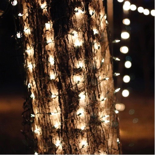 150-bulb Clear Tree Trunk Net Lights, Green Wire
