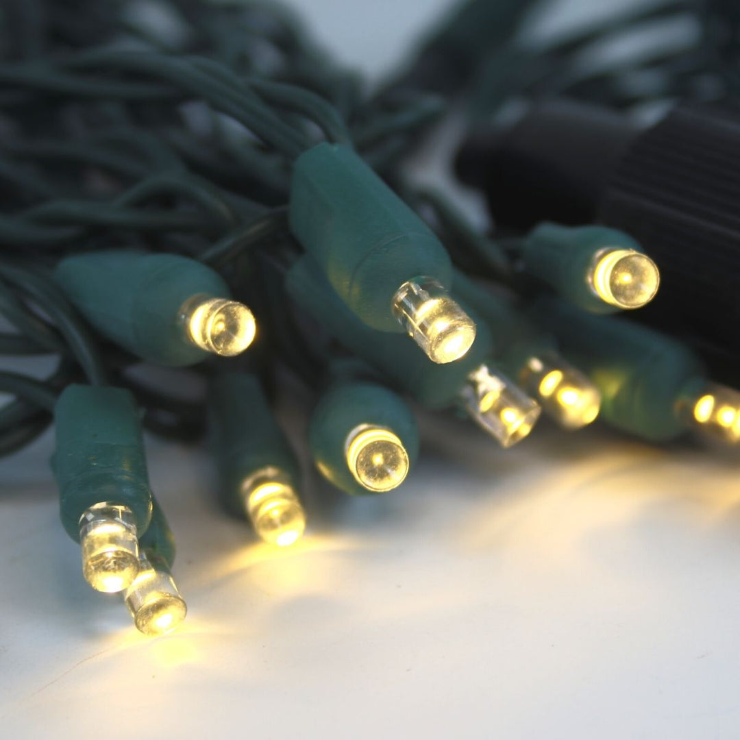 12 Volt LED Light Set Warm White Green Wire