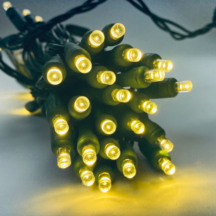 50-light 5mm Warm White Twinkling LED Christmas Lights, 6" Spacing Green Wire