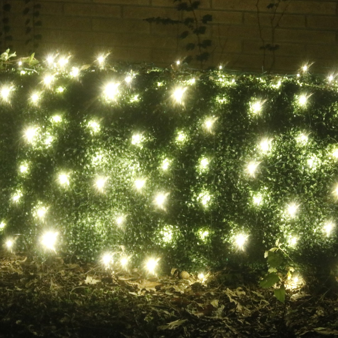 100-light M5 Warm White LED Net Lights, White Wire – Christmas Light Source