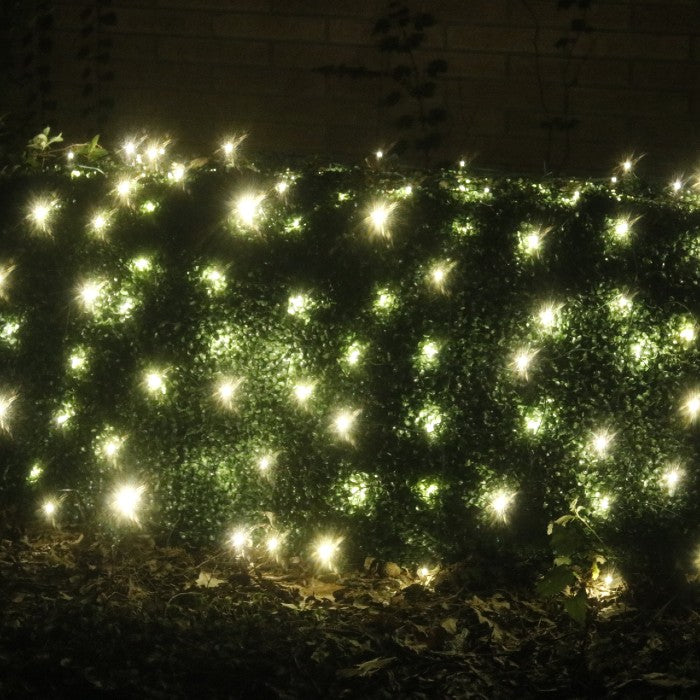 100-light M5 Warm White LED Net Lights, White Wire – Christmas Light Source