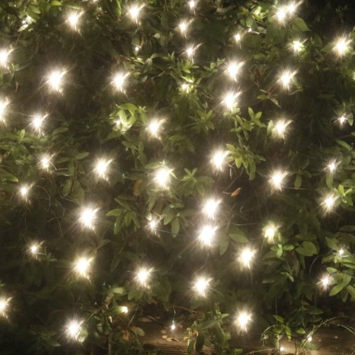 150-bulb Clear Net Lights, Green Wire