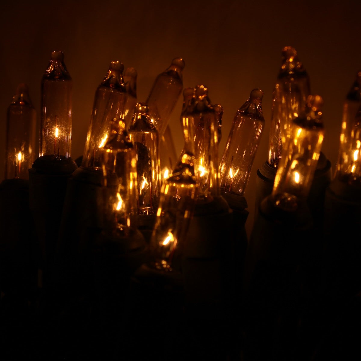 50bulb Yellow Mini Lights, 4" Spacing, Black Wire Christmas Light Source